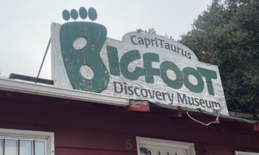 Bigfoot Museum, Felton